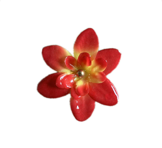BLOOD ORANGE EARRINGS - SMALL