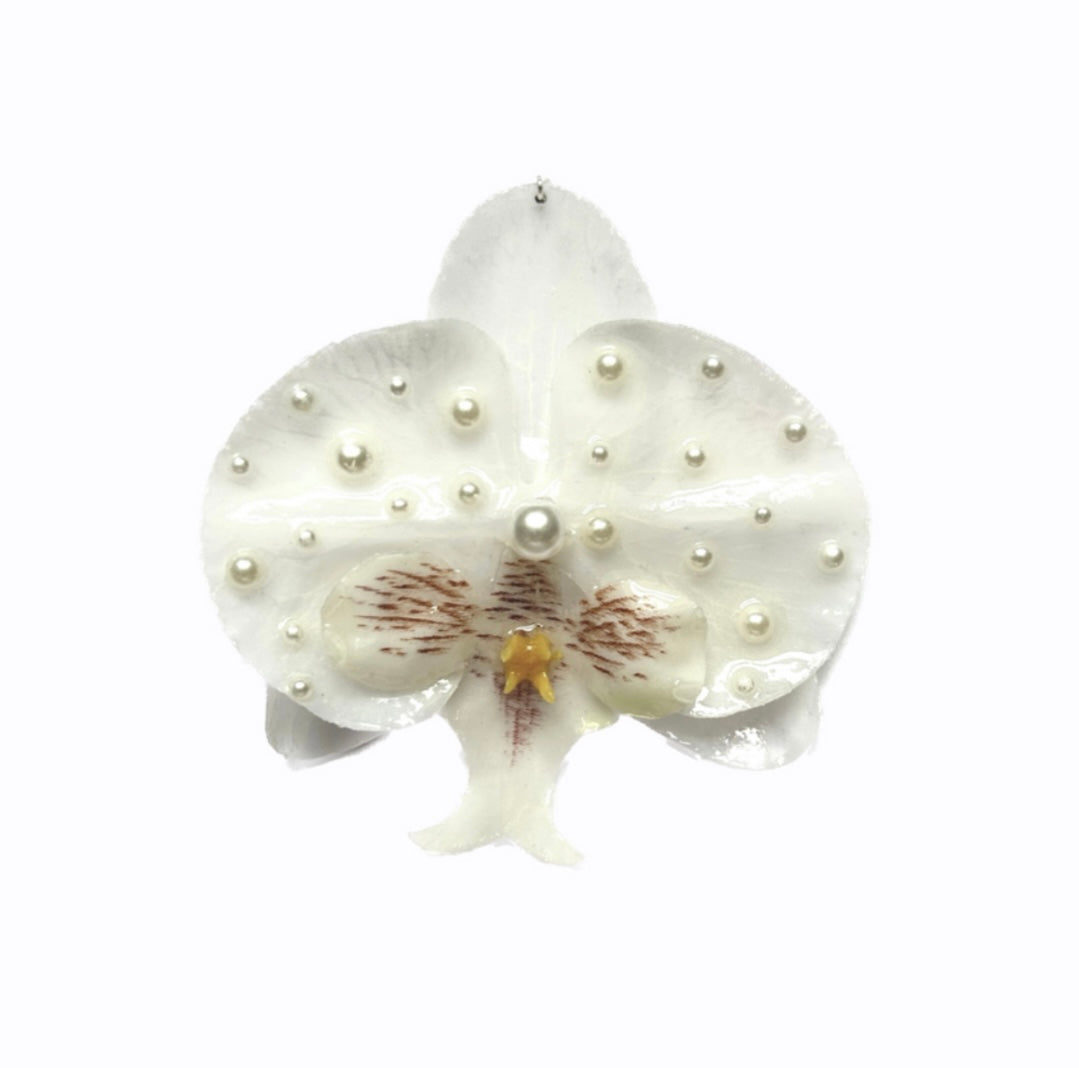 COCO PEARL XL