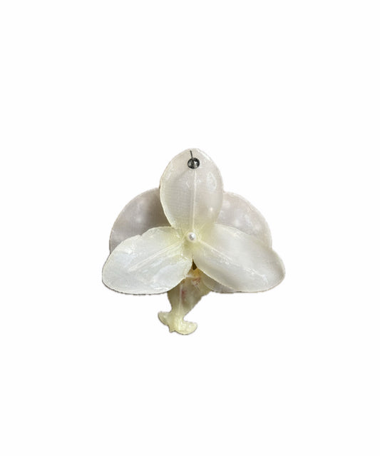 COCO PEARL MEDIUM