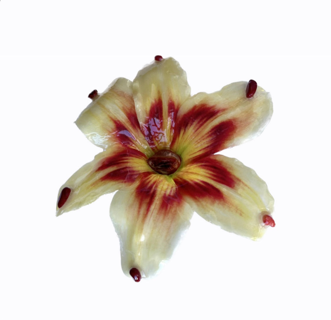 LILY RED/CRYSTAL HAIR CLIP