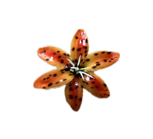 ORANGE CHEETAH EARRINGS - SMALL