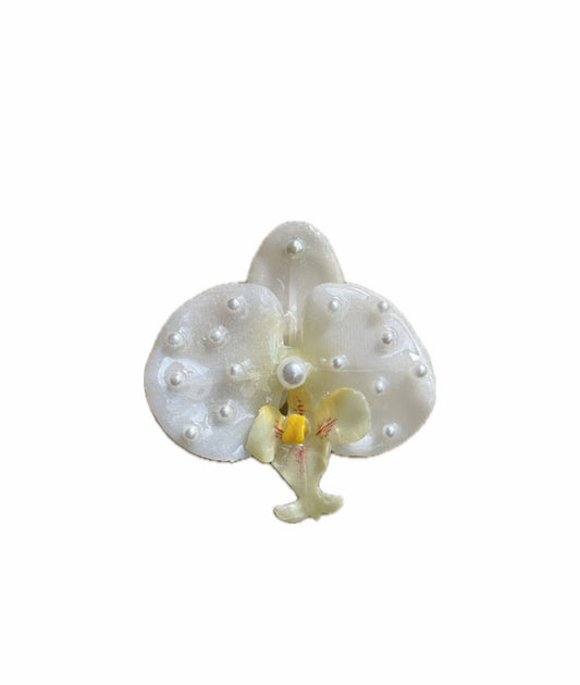 COCO PEARL MEDIUM