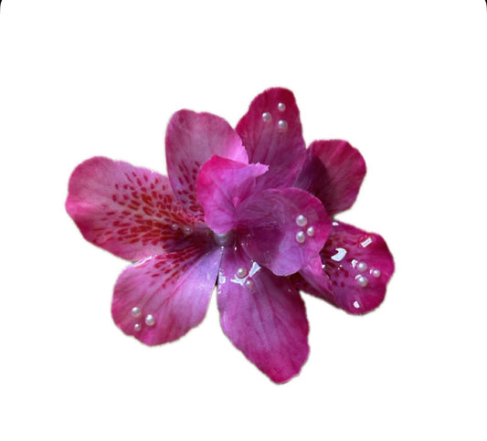 PINK PARADISE  HAIRCLIP