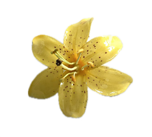 VANILLA LILYS - MEDIUM