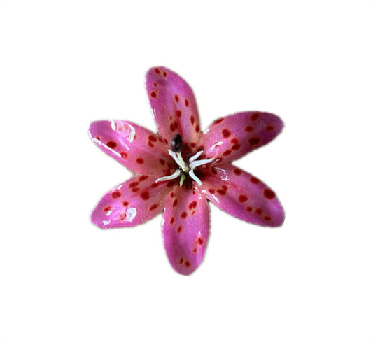PINK CHEETAH EARRINGS - SMALL